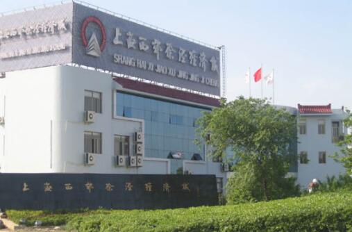 上海西郊经济开发区2